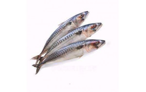 Скумбрія морожена